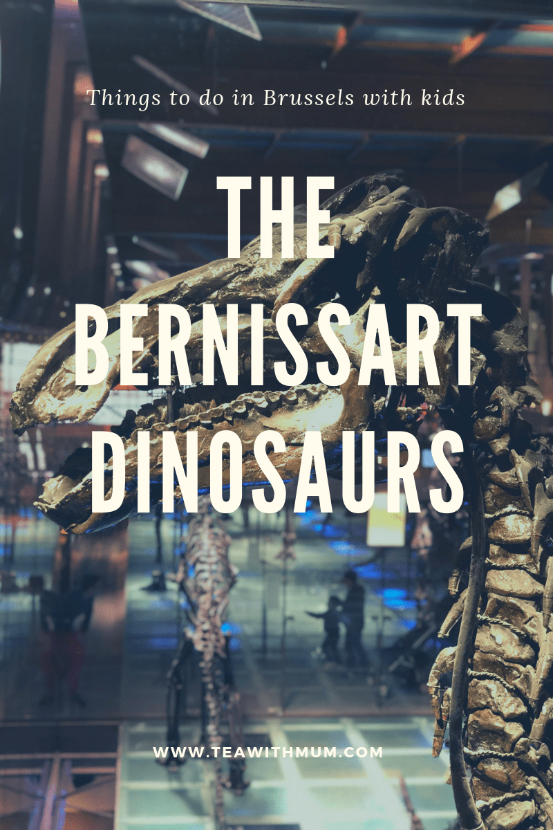 The Bernissart Dinosaurs at the Royal Belgian Institute of Natural Sciences are definitely one of the best dinosaur museums in Europe