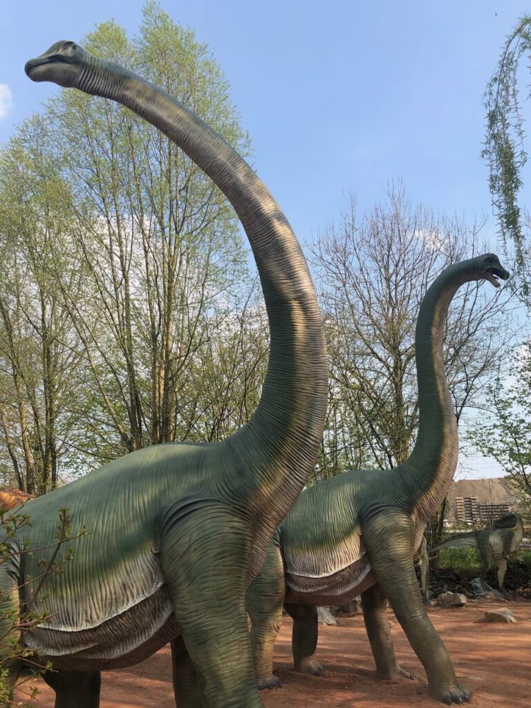 Brachiosaurus at Dinoland Zwolle