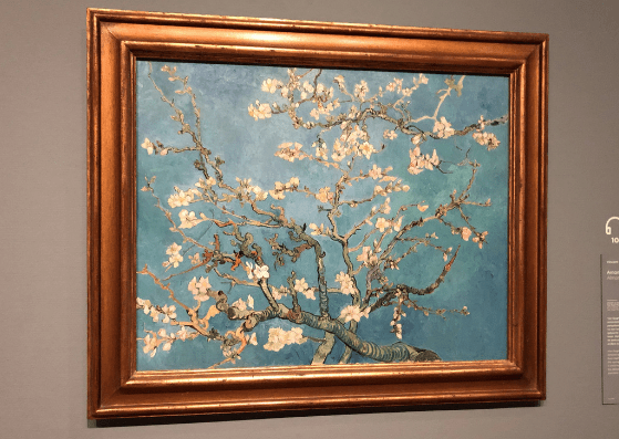 Almond Blossoms by Vincent Van Gogh, at the Van Gogh Museum in Amsterdam