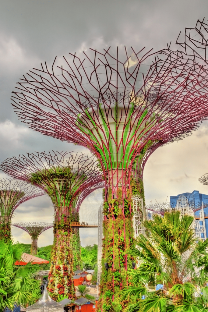 Miracle Gardens by the Bay in Singapore