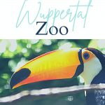 Pin: The absolute highlights: Wuppertal Zoo, with image of a toucan